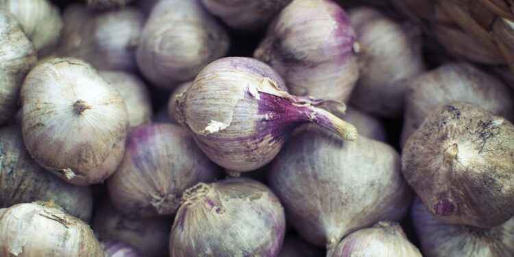 Delicious Vegan Holiday Recipes for a Festive Feast