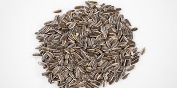 The Must-Have Essential Vitamins and Minerals for Peak Performance