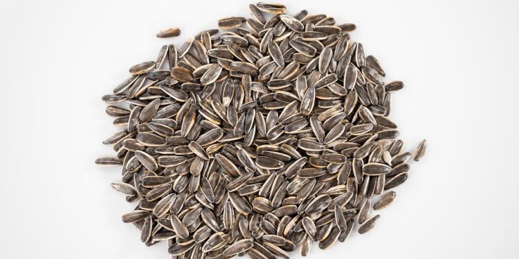 The Must-Have Essential Vitamins and Minerals for Peak Performance