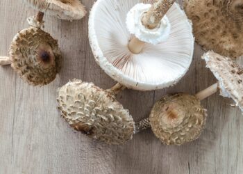 Effortless Vegan One-Pot Meals for Busy Weeknights