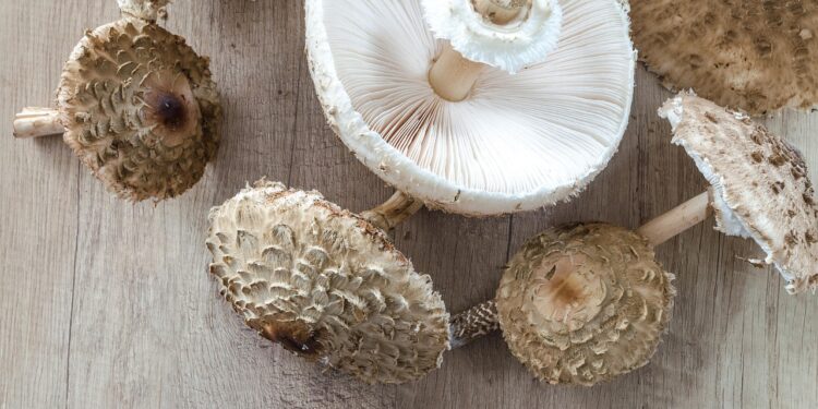 Effortless Vegan One-Pot Meals for Busy Weeknights