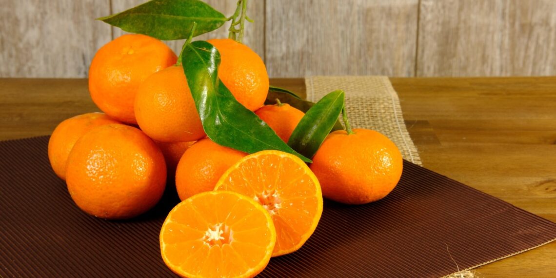 Master Your Diet: The Ultimate Guide to Weekly Vegan Meal Prep