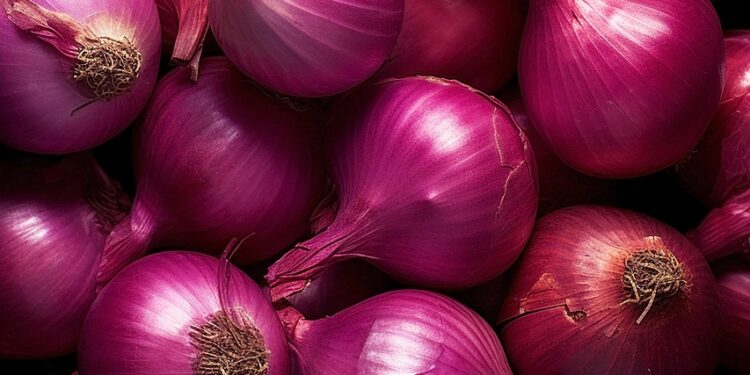 Unlocking the Power of Essential Vitamins and Minerals: A Guide to Better Health