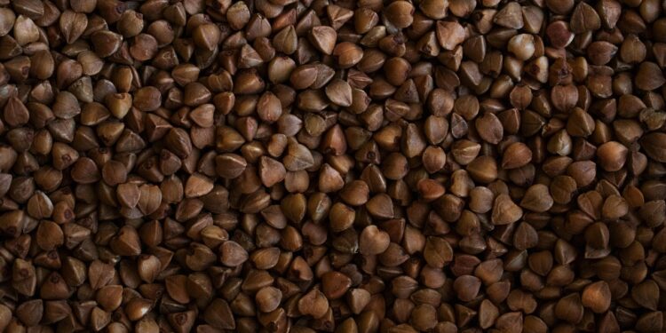 Unlock the Secrets of Heart-Healthy Foods for a Robust Life