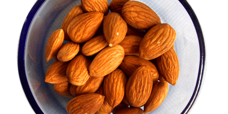 Unlock the Power of Protein-Rich Foods: A Guide to Healthier Eating