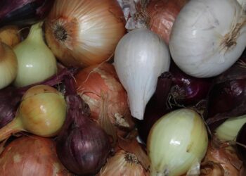 Unlock Flavor and Health: Essential Vegan Cooking Tips for Every Meal