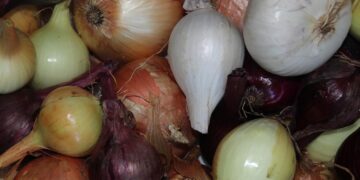 Unlock Flavor and Health: Essential Vegan Cooking Tips for Every Meal