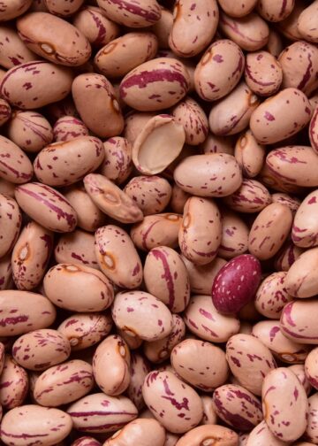 Unlock the Secrets of Vegan Meal Planning: A Guide to Healthier Eating