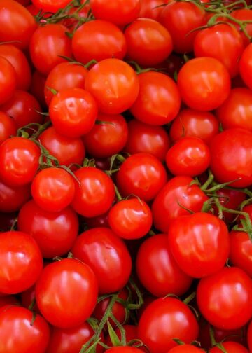 Unlock the Secrets of Healthy Vegan Meal Planning: A Guide to Optimal Wellness