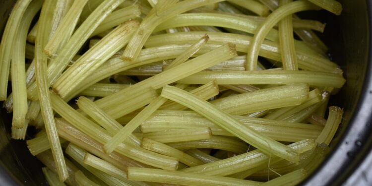 Mastering Vegan Food Tips: A Guide to Flavorful Plant-Based Meals