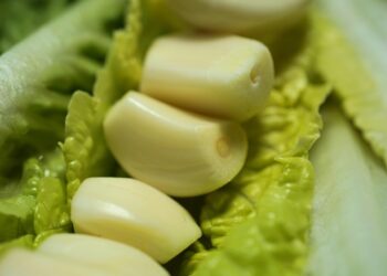 Unlock Your Workout Potential: Mastering Nutrition for Fitness