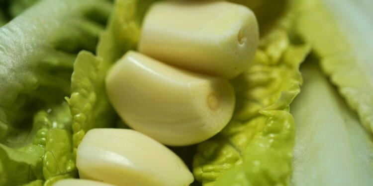 Unlock Your Workout Potential: Mastering Nutrition for Fitness