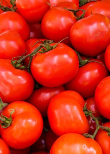 Starting Your Vegan Journey: A Simple Beginner Vegan Meal Plan You’ll Love