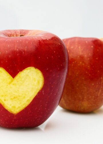 Quick and Delicious Vegan Lunchbox Ideas Everyone Will Love