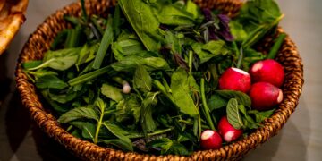 "Master Ethical Shopping Tips to Transform Your Wardrobe