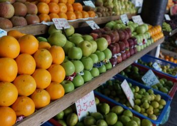 Master Your Diet with the Ultimate Vegan Monthly Meal Plan