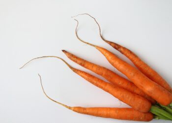 Unlocking a Healthier You: Balanced Diet Tips for Every Age