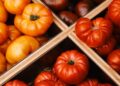 7 Essential Tips for Embracing a Vegan Lifestyle and Wellness Journey