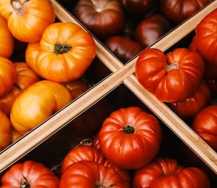 7 Essential Tips for Embracing a Vegan Lifestyle and Wellness Journey