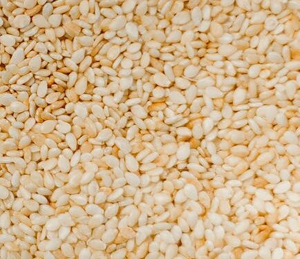 7 Essential Vegan Lifestyle Tips for Beginners