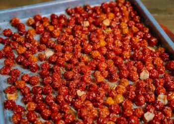 10 Quick Vegan Breakfast Ideas for Busy Mornings