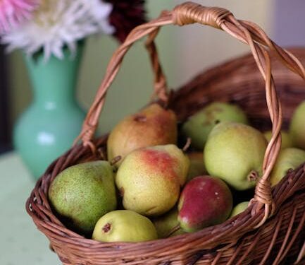 Top 10 Protein-Rich Foods to Boost Your Daily Nutrition