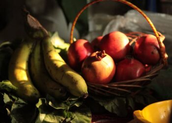 7 Easy Plant-Based Nutrition Tips for Beginners