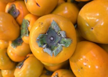 7 Easy Healthy Eating Habits to Start Today