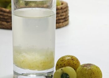 5 Essential Balanced Diet Tips for a Healthier Lifestyle