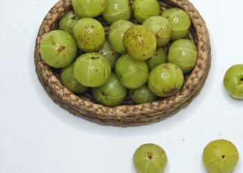 7 Essential Nutrients for Muscle Gain: How to Eat Right and Get Stronger