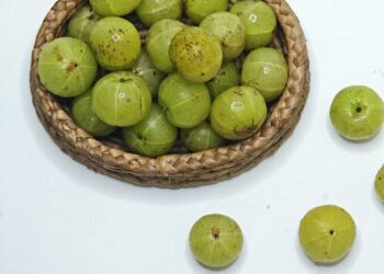 7 Essential Hydration Tips for Health Every Fitness Enthusiast Should Know