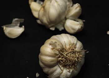 10 Heart-Healthy Foods to Power Your Cardio Routine