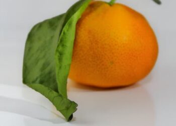 7 Natural Detox Tips to Refresh Your Body and Mind