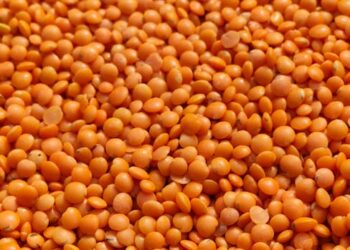 5 Key Foods in Nutrition for Mental Health