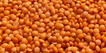 5 Key Foods in Nutrition for Mental Health