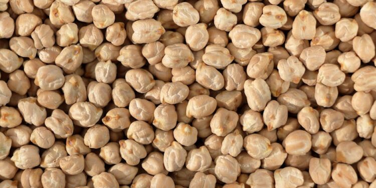 Top 10 Weight Loss Nutrition Plans for Lasting Results