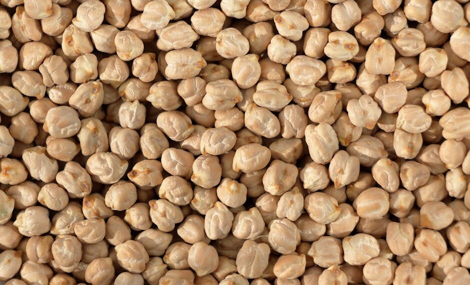 Top 10 Weight Loss Nutrition Plans for Lasting Results