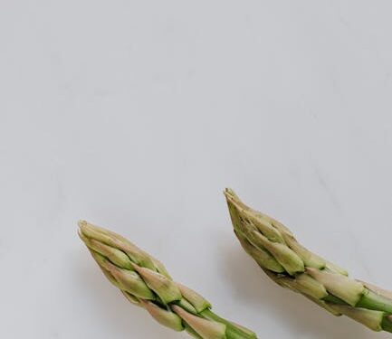 Top 10 Benefits of Ethical Veganism for Your Health and the Environment