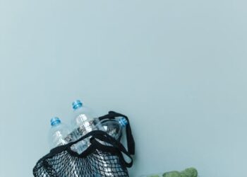 Top 10 Vegan Lifestyle Tips for Beginners