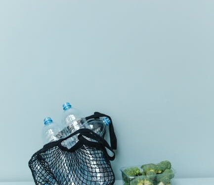 Top 10 Vegan Lifestyle Tips for Beginners