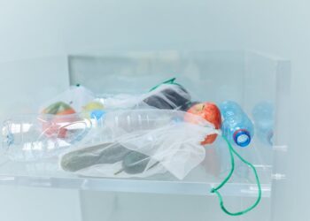 7 Easy Steps for Transitioning to a Vegan Lifestyle