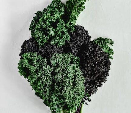 7 Simple Steps to Make Ethical Eating Choices Every Day