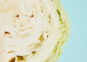 7 Easy Ways Vegan Choices Can Reduce Your Environmental Impact