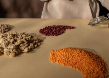 Unlock the Secrets of Vegan Egg Substitutes: Top 10 Ingredients You Must Try