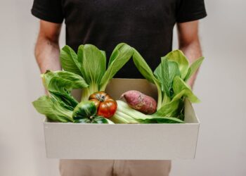 Top 10 Ethical Vegan Products You Need to Try Right Now