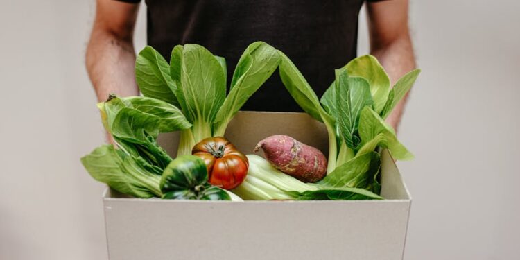 Top 10 Ethical Vegan Products You Need to Try Right Now